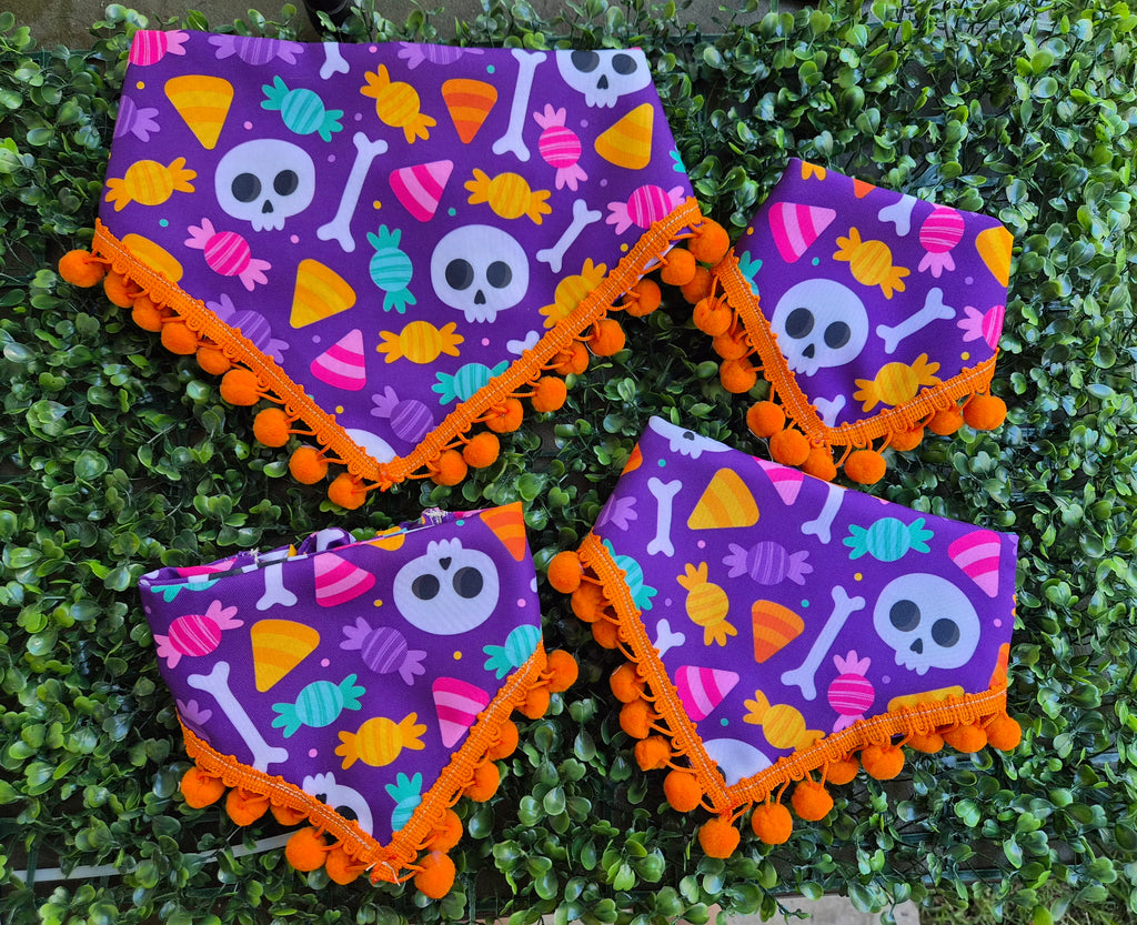 Bandana Elastica Halloween Mascotas