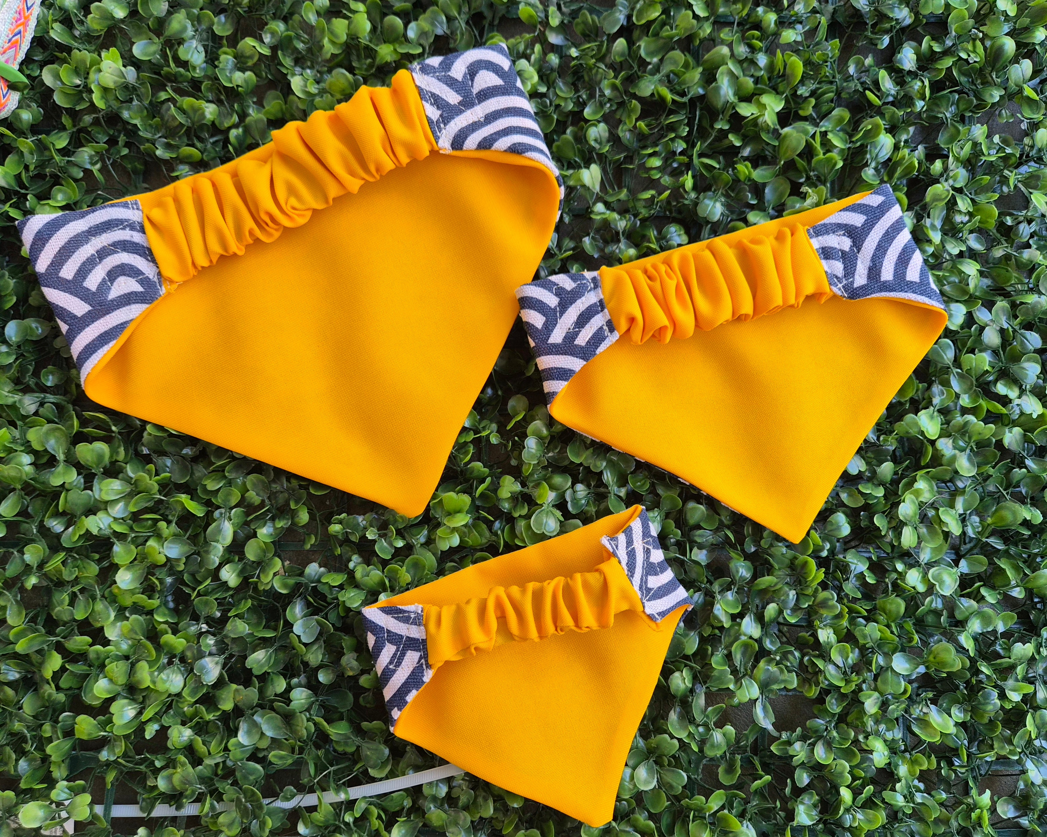 Bandana mascota