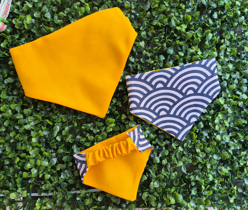 Bandana mascota