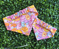 Bandana Elastica Mascota